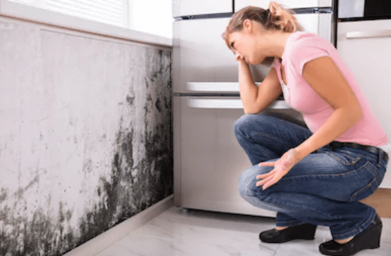 Mould in Your Home! Is it The Silent Killer?