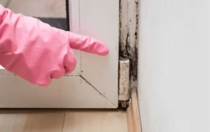 Mold behind door